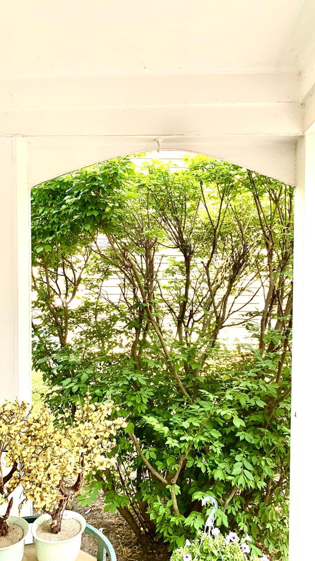B3 A Private Room In Naperville Downtown With Desk And Wi-Fi Near Everything ภายนอก รูปภาพ